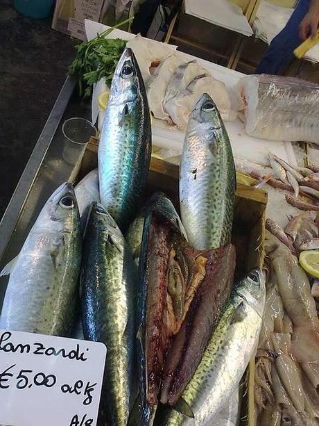 Cronache Slowfish 10 - foto di pesci che dobbiamo imparare a conoscere e comperare