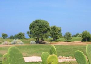 La panacea e il miraggio della Terra di Egnazia