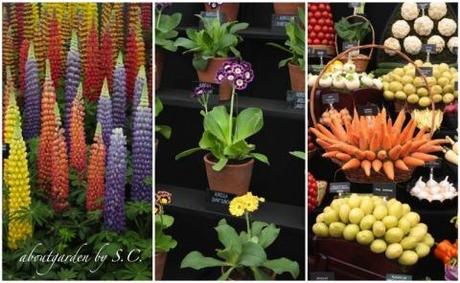 piante e fiori al  Chelsea Flower Show