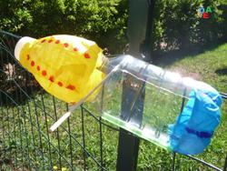 UNA PICCOLA MANGIATOIA COLORATA