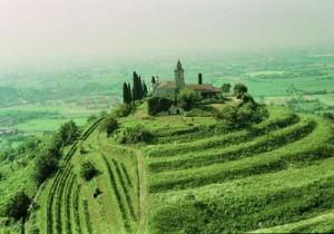 Vino Franciacorta