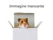 Crocchette saporite all’emmental svizzero