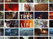 "The Tree Life"