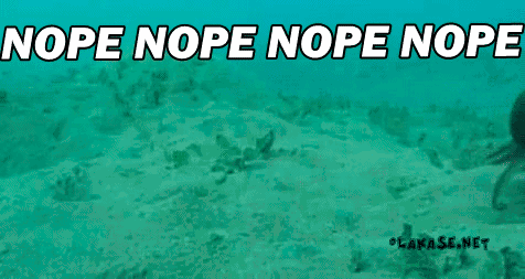 NOPE! book tag NOPE! book tag