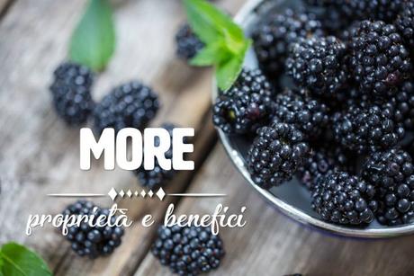 More: proprietà, benefici e controindicazioni more frutto