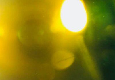 l’FBI fa chiudere Il National Solar Observatory, Gli ufologi: Fotografato qualcosa di grosso vicino al Sole l’FBI fa chiudere Il National Solar Observatory, Gli ufologi: Fotografato qualcosa di grosso vicino al Sole