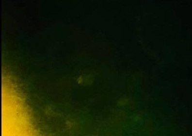 l’FBI fa chiudere Il National Solar Observatory, Gli ufologi: Fotografato qualcosa di grosso vicino al Sole l’FBI fa chiudere Il National Solar Observatory, Gli ufologi: Fotografato qualcosa di grosso vicino al Sole