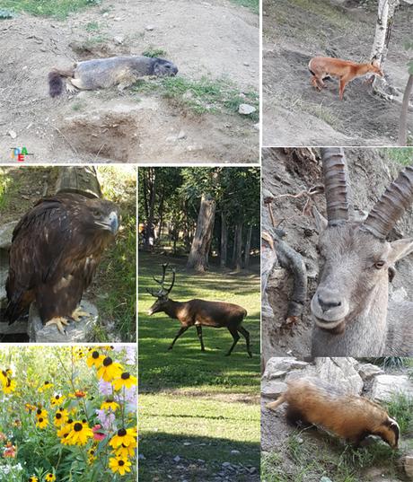 E PER FINIRE GIRO AL PARC D’INTROD parcintrod1