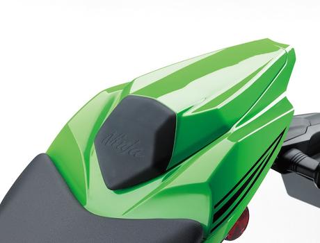 Kawasaki ZX-10R Range 2019 Kawasaki ZX-10R Range 2019