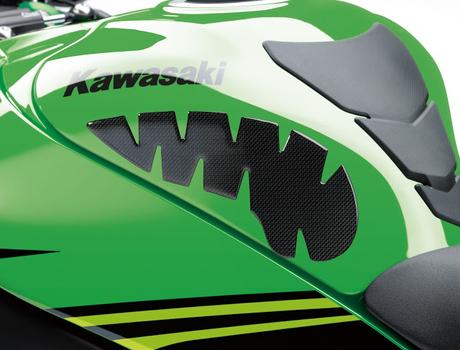 Kawasaki ZX-10R Range 2019 Kawasaki ZX-10R Range 2019