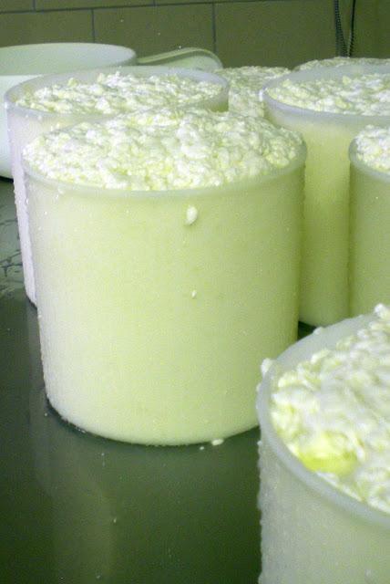 Facciamo il formaggio Facciamo il formaggio