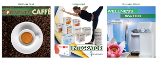 NETWORKING E BUSINESS PARNTER, LAVORA IN AUTONOMIA! NETWORKING E BUSINESS PARNTER, LAVORA IN AUTONOMIA!