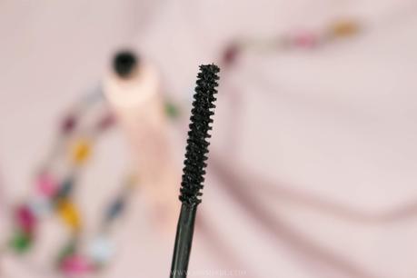 NEVE COSMETICS | Lash Academy vegan mascara NEVE COSMETICS | Lash Academy vegan mascara