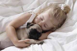 amico... amico...