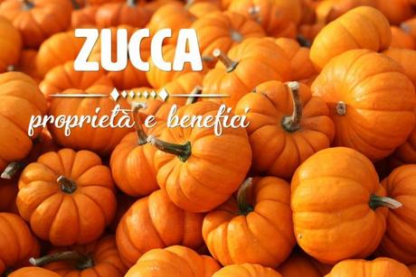 Zucca: proprietà, benefici e controindicazioni zucca proprieta e benefici