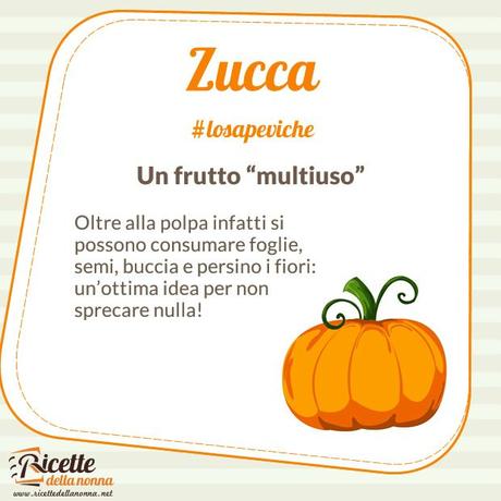 Zucca: proprietà, benefici e controindicazioni lo sapevi che - zucca