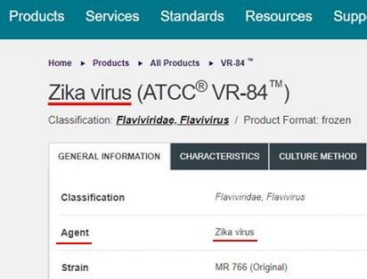 Zika virus (ATCC® VR-84™): un virus brevettato e la guerra biologica Zika virus (ATCC® VR-84™): un virus brevettato e la guerra biologica