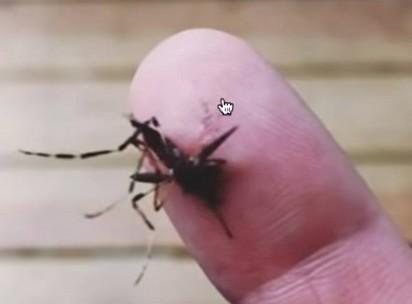 Zika virus (ATCC® VR-84™): un virus brevettato e la guerra biologica Zika virus (ATCC® VR-84™): un virus brevettato e la guerra biologica