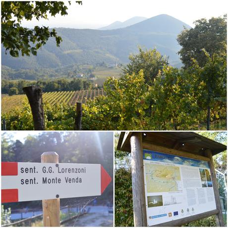cosa vedere sui colli euganei cosa vedere sui colli euganei