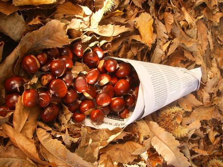 Le castagne in cucina, nell’arte e nella cultura castagne Cucurucho_de_castanhas_Galicia