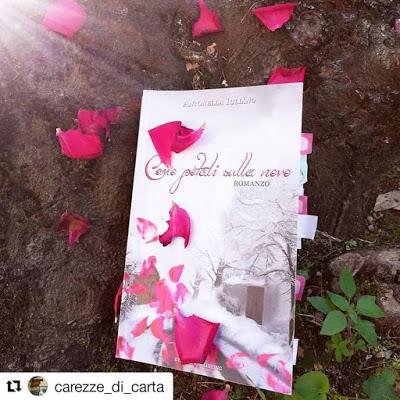 Carezze di Carta: Recensione - Come Petali sulla Neve di Antonella Iuliano Carezze di Carta: Recensione - Come Petali sulla Neve di Antonella Iuliano