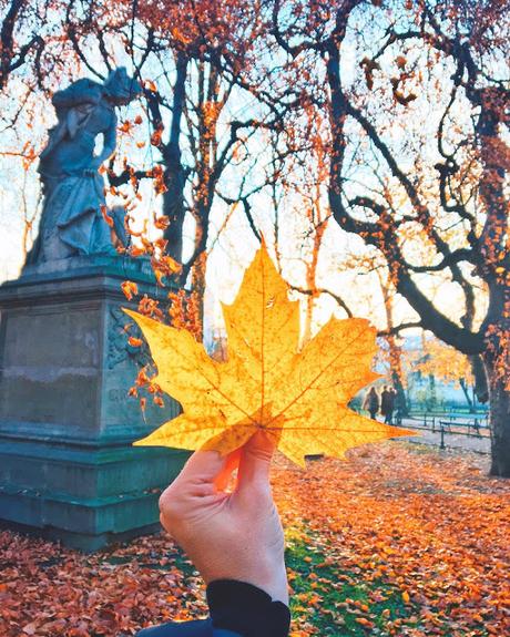 Ho imparato ad amare la bellezza dell'autunno Ho imparato ad amare la bellezza dell'autunno