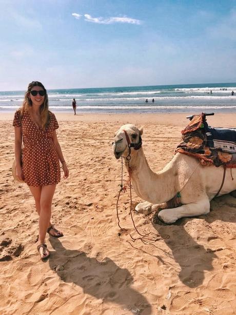 La costa di Agadir tra dune di sabbia cammelli e delfini agadir_cammelli