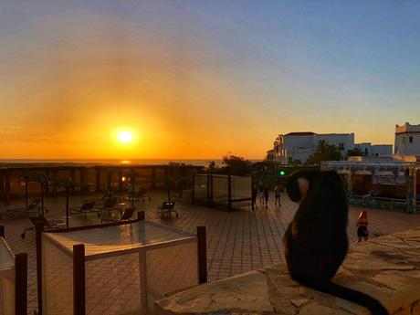 La costa di Agadir tra dune di sabbia cammelli e delfini agadir_tramonti