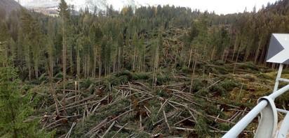 Guerra climatica: un'ammissione importante dal CNR Guerra climatica: un'ammissione importante dal CNR