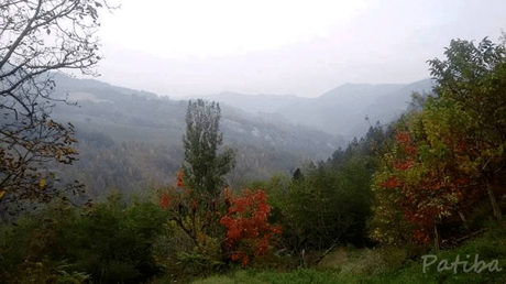 I 10 post più visti in Ottobre I 10 post più visti in Ottobre