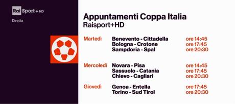 Rai Sport, Coppa Italia Tim Cup 2018/2019 4 Turno - Programma e Telecronisti Rai Sport, Coppa Italia Tim Cup 2018/2019 4 Turno - Programma e Telecronisti