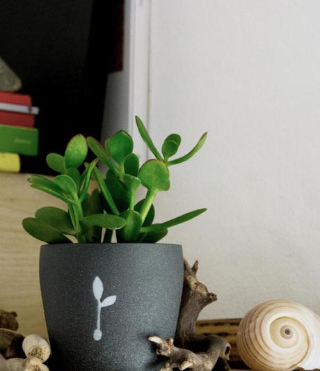 Piantando, cambia il pianeta comprando o regalando una pianta regala-una-pianta