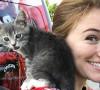 Gatto randagio vuole farsi adottare da ciclista Gatto randagio vuole farsi adottare da ciclista
