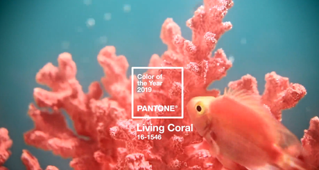 Living coral Pantone 2019 il colore della familiarità Living coral Pantone 2019 il colore della familiarità