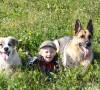 Cani e bambini all’aria aperta: come farli giocare Cani e bambini all'aria aperta: come farli giocare
