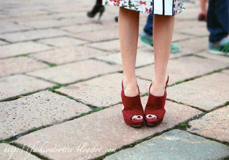 Crimson petals - Outside Cavalli fashion show, Milan February 2011