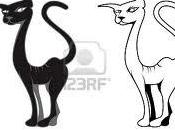 Robe gatti!!!