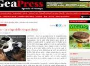 Strage cicogne bianche Malta