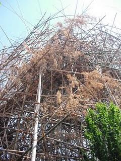 Big Bambù _ Mike + Doug Stain _ Venice