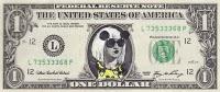 Bancarotta per Lady Gaga: il successo non paga