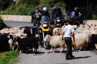 Sardegna 2011: insolita,  bella, dura, romanzesca