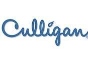 Offerta lavoro evidenza: Sales Commercial Director Culligan Italiana