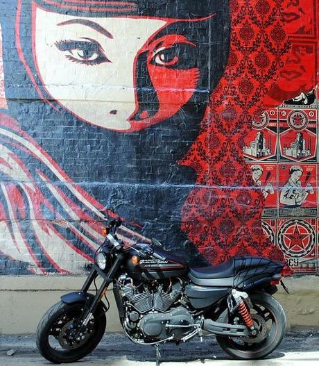 XR 1200 Honey Badger