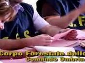 Perugia Smaltimento rifiuti pericolosi negli ospedali (01.06.11)