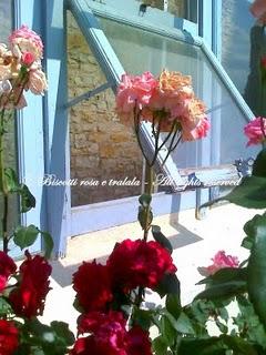 Roses Garden & gnocchi