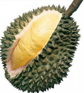 durian