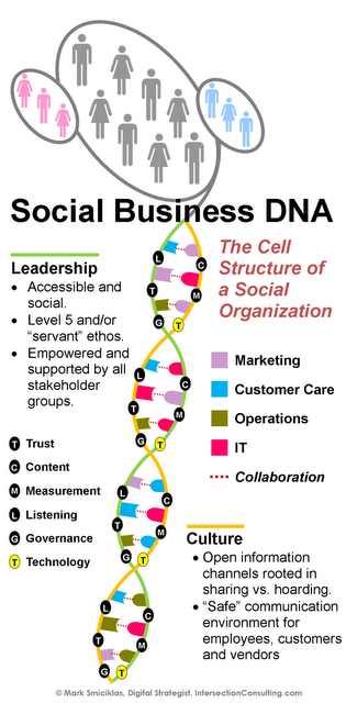 Social Business DNA: un visual