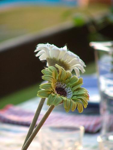 tablescape light green