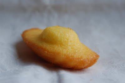 Madeleine al limoncello