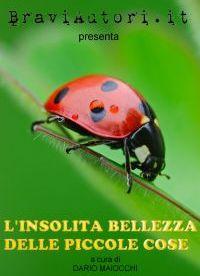 EBook Gara 20: L'insolita bellezza delle piccole cose